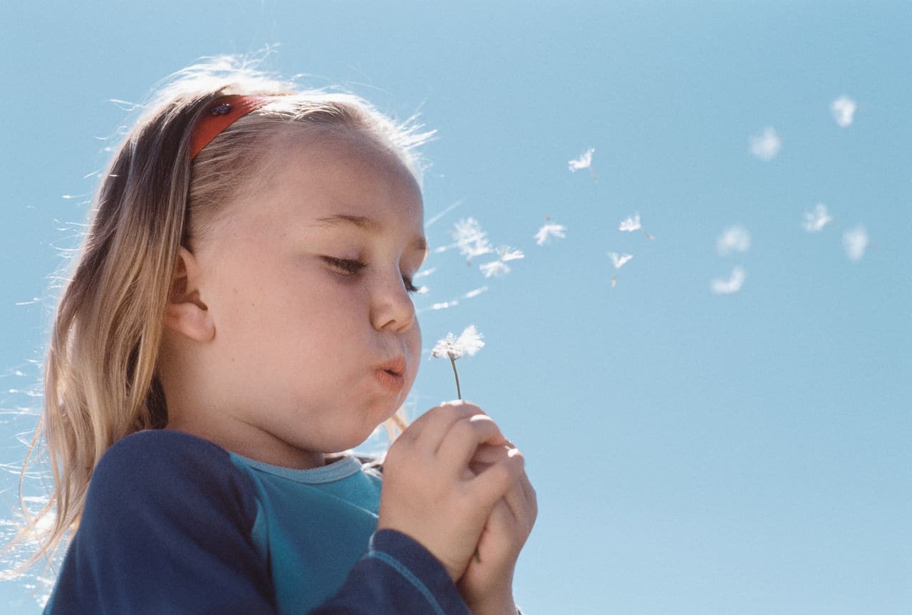 Girl Blowing on a Dandelion
