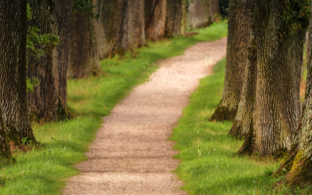 Pathways to Transition Parent & Caregiver Support Program